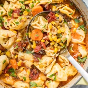 This vegetarian tortellini soup is simple, hearty, cozy, and comforting. A pot of this is ready in only 45 minutes!