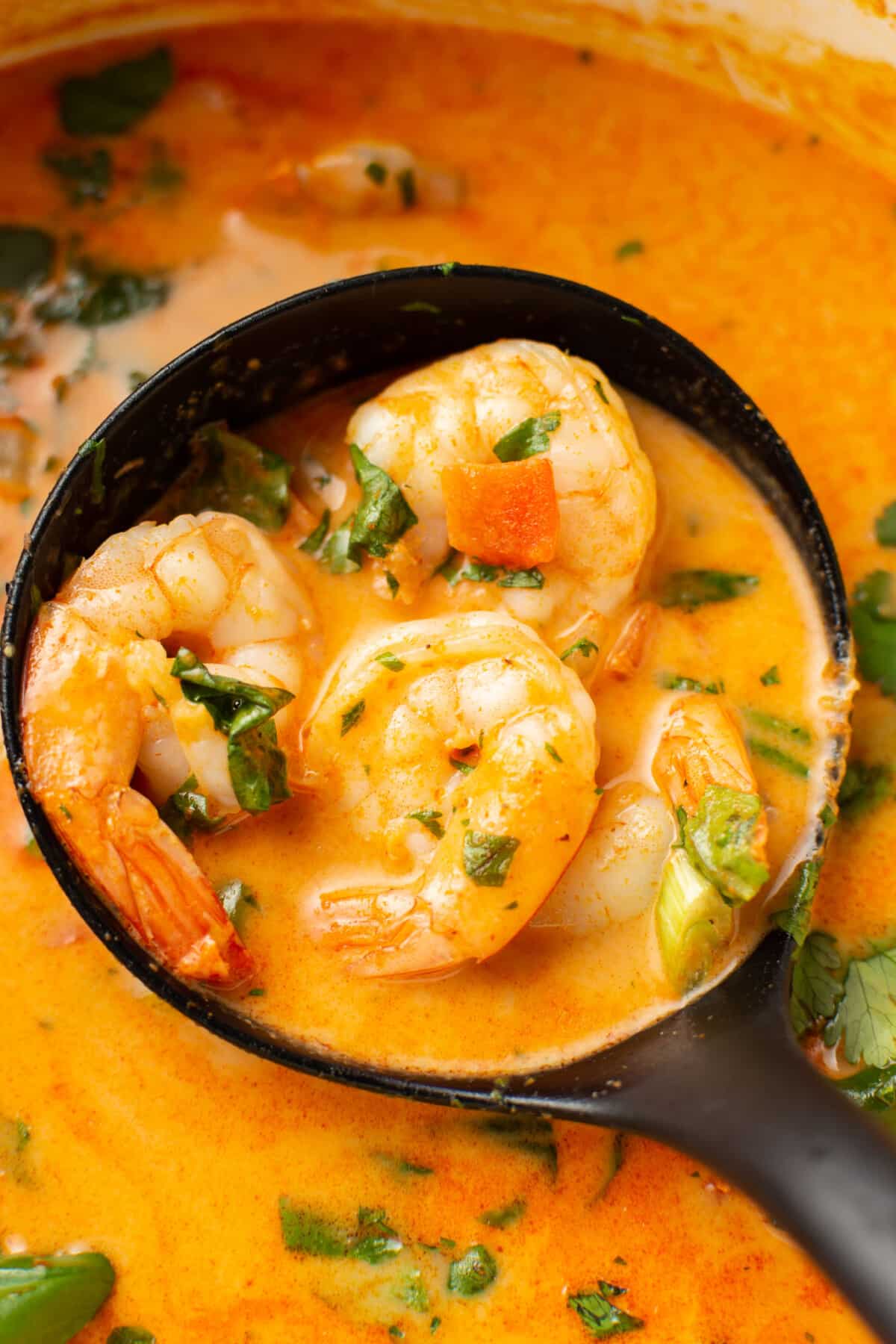 closeup of a ladle with thai shrimp curry