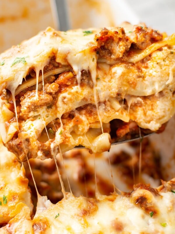 closeup of lasagna on a metal spatula
