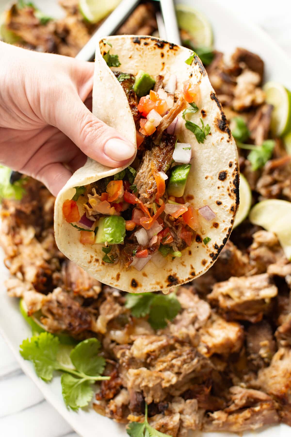 a female hand holding a carnitas taco