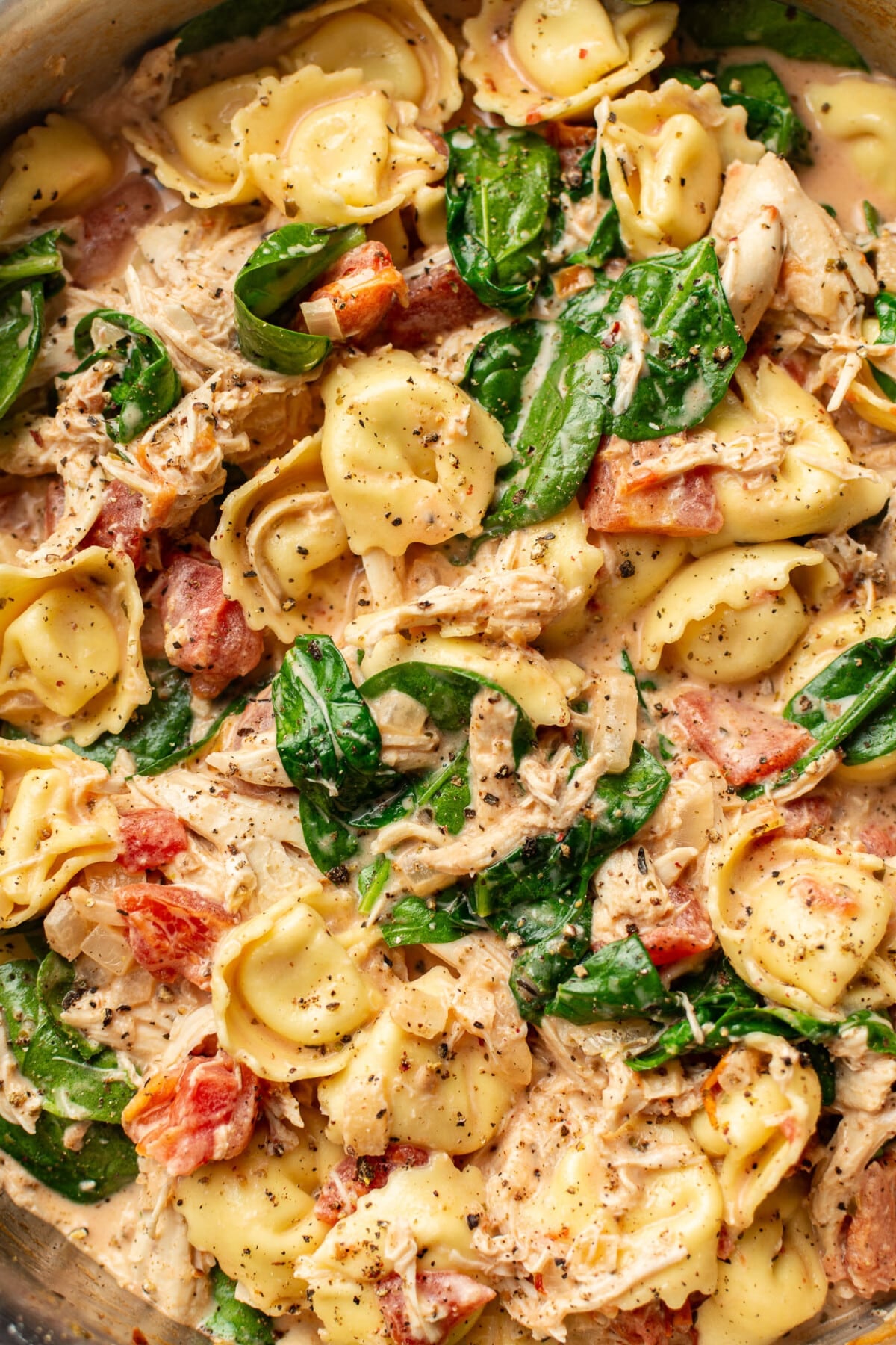 closeup of a skillet with cheese tortellini and chicken