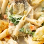 a serving spoon with chicken penne casserole